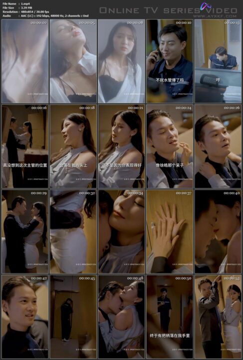 物业之王（小区传奇）（我当物业那些年）（花前雪月）（80集）