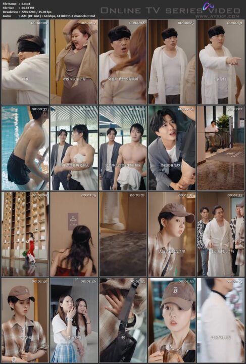 李特助如此多娇（89集） 网剧大全 图1张