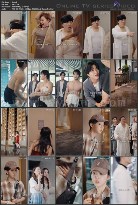 李特助如此多娇（89集）