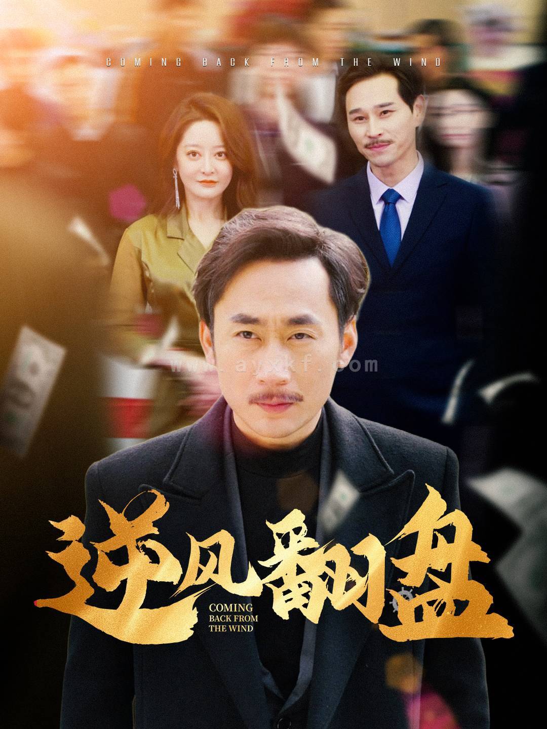 15889-逆风翻盘(30集) 最新 图1张