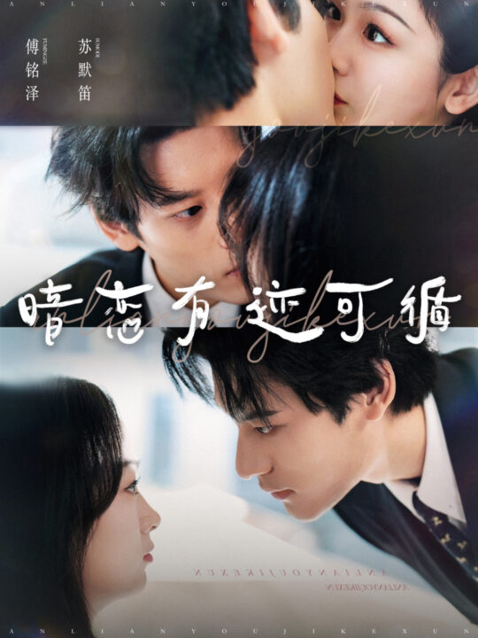 15196-暗恋有迹可循(101集)秦伟制＆田苗苗