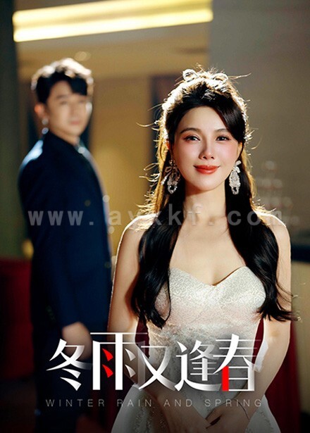 16427-冬雨又逢春(50集)