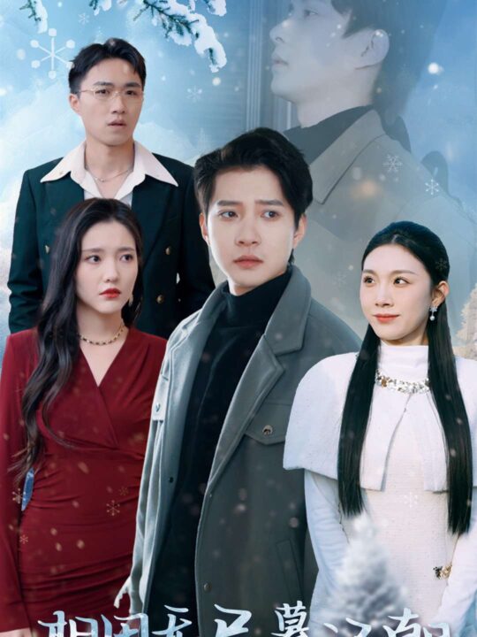 16495-相思无尽暮还朝(30集)白羽