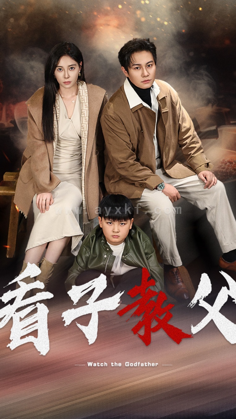 16315-看子教父（41集） 最新 图1张