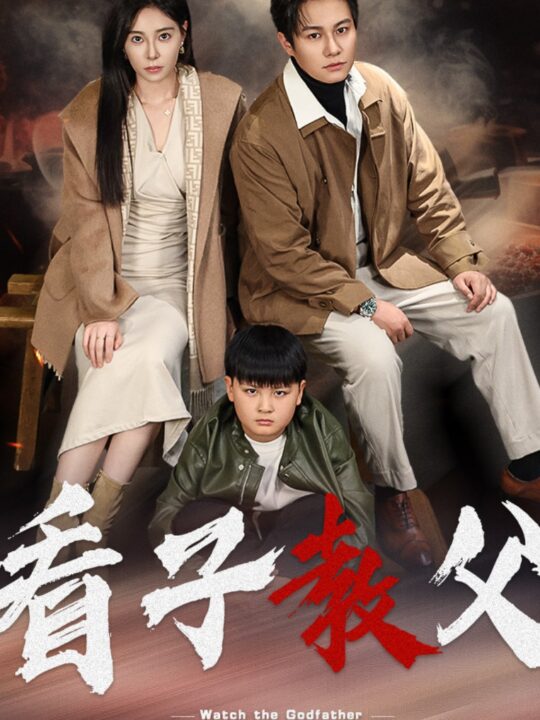 16315-看子教父（41集）