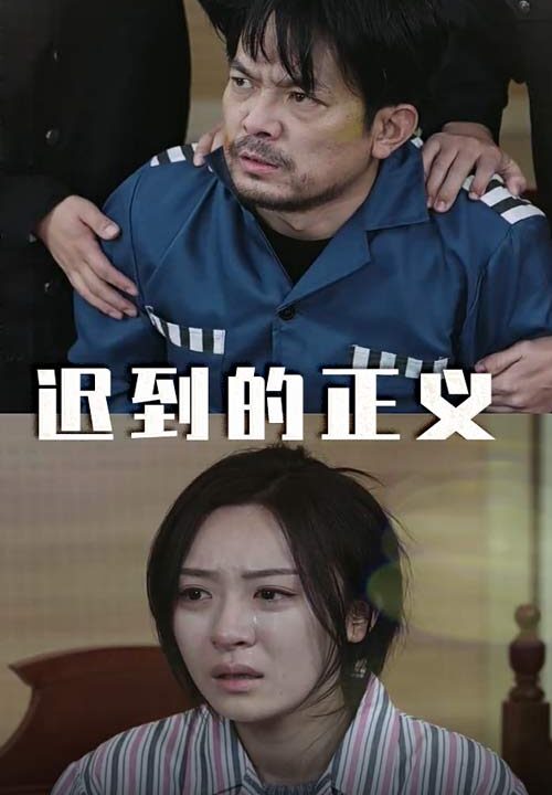 16316-迟到的正义(39集)