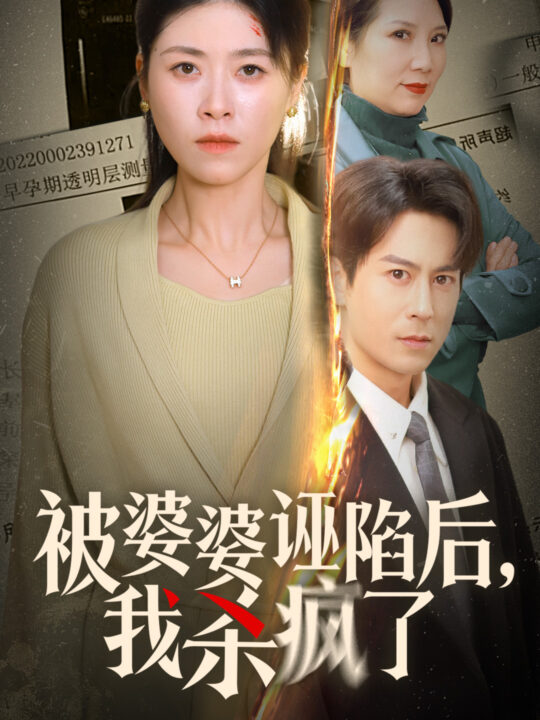 15644-被婆婆诬陷后我杀疯了(30集)诸玲颖