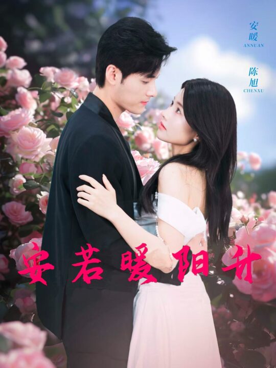 15640-安若暖阳升(40集)