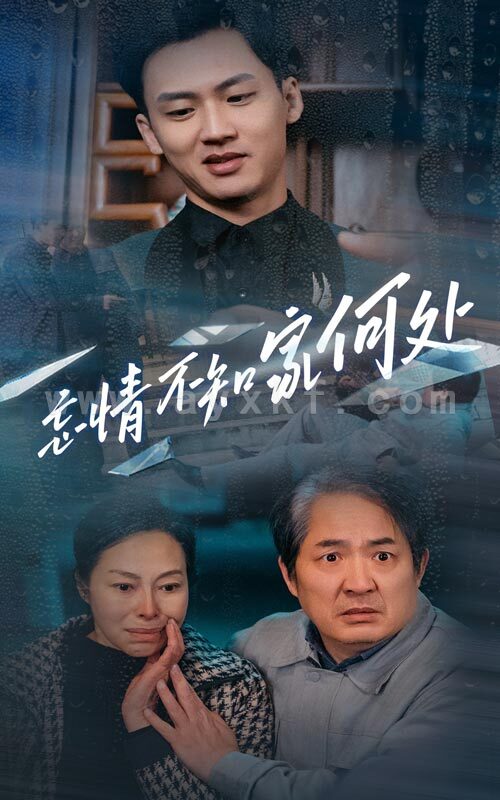 15956-忘情不知家何处(53集) 最新 图1张