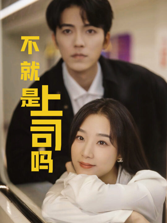 15645-不就是上司吗(80集)王小亿&吴竹熙