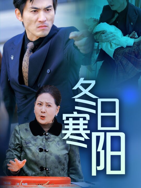 16405-冬日寒阳(29集)