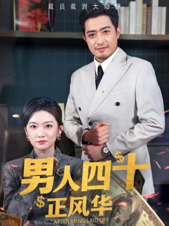 15887-男人四十正风华(73集)