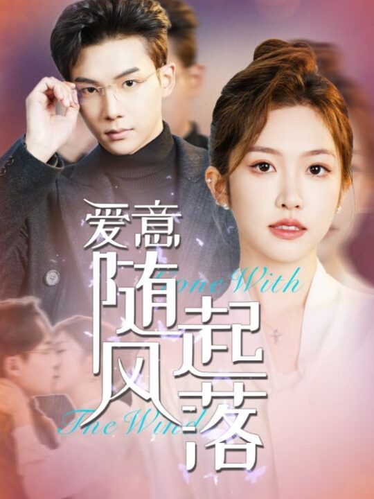 16201-爱意随风起落(36集)