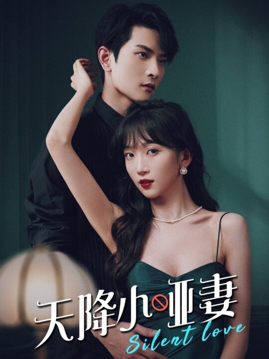 16378-天降小哑妻(80集)