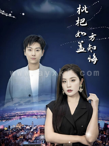 15696-枇杷如盖方知悔(30集)