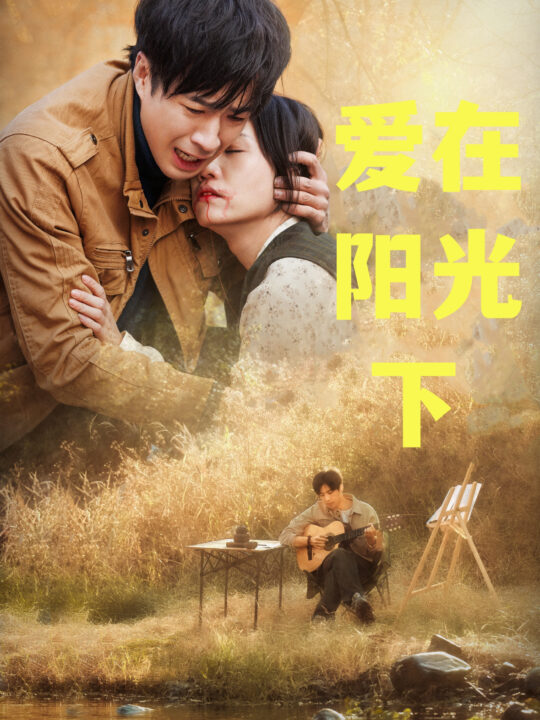 16083-爱在阳光下(30集)孔奇力