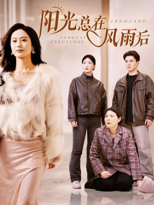 16424-阳光总在风雨后(43集)