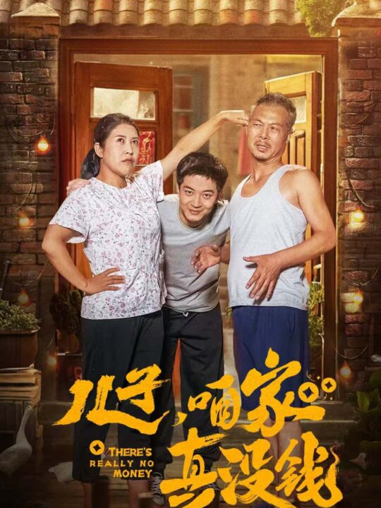 15913-儿子咱家真没钱(60集)