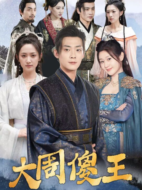 16133-大周傻王(82集)