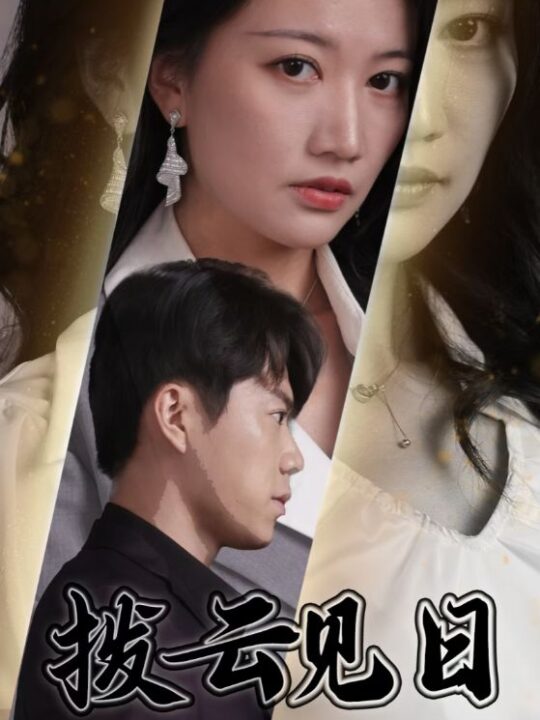 16122-拨云见日(30集)