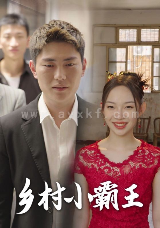16457-乡村小霸王(80集) 最新 图1张