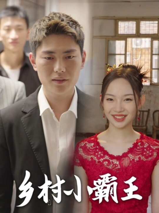 16457-乡村小霸王(80集)