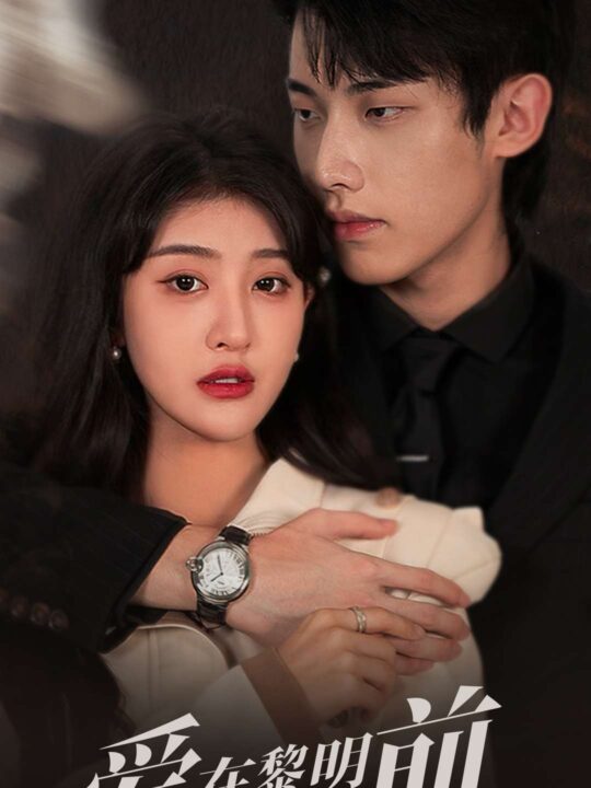 16175-爱在黎明到来前(36集)喻嘉琳