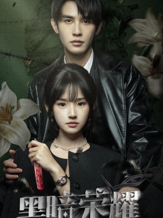 15752-黑暗荣耀(66集)贾翼萱&申浩男