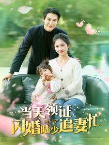 16508-当天领证闪婚陆少追妻忙(80集)