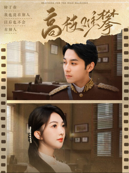 16104-高枝难攀(80集)张屹杨＆丁果