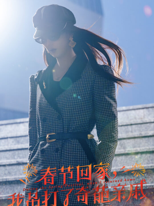 15535-爆竹声中谙世路&春节回家我吊打了奇葩亲戚(30集)金鑫欣