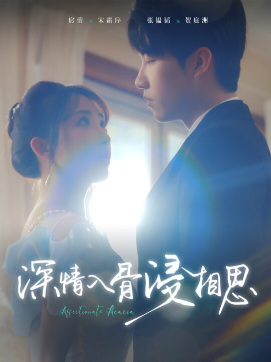 16303-深情入骨浸相思(101集)张韫韬＆房蕾