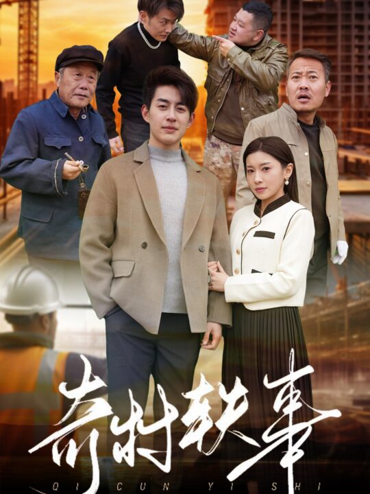 16203-奇村轶事(30集)