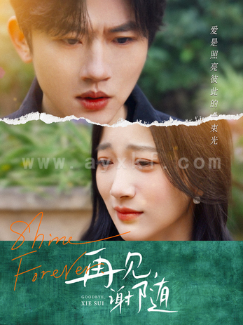 16371-再见谢随(30集)