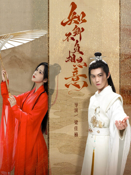 16493-知卿不负相思意(80集)温凉＆邓赟达