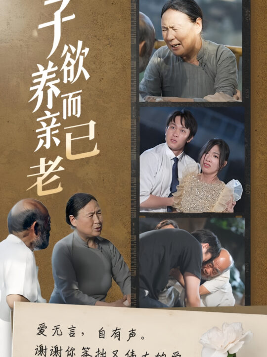 16293-子欲养而亲已老(58集)