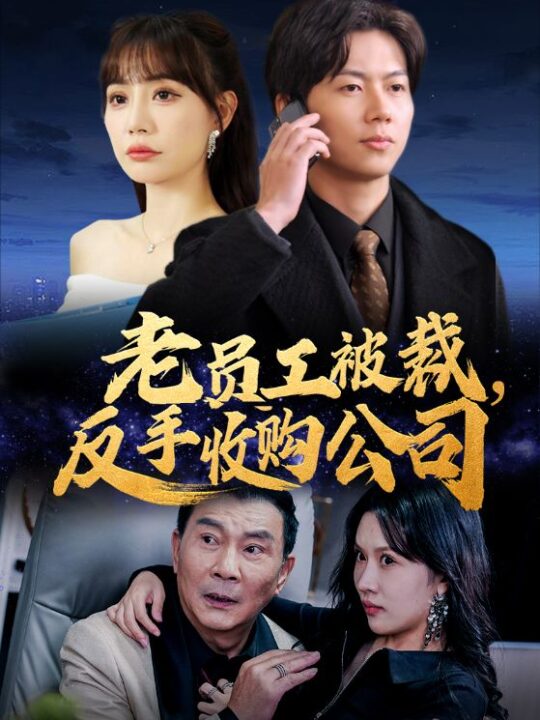 16040-老员工被裁反手收购公司(34集)