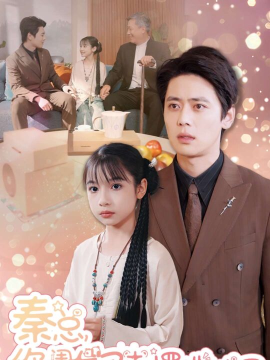 15558-秦总你闺女又去摆地摊了(45集)尹一博