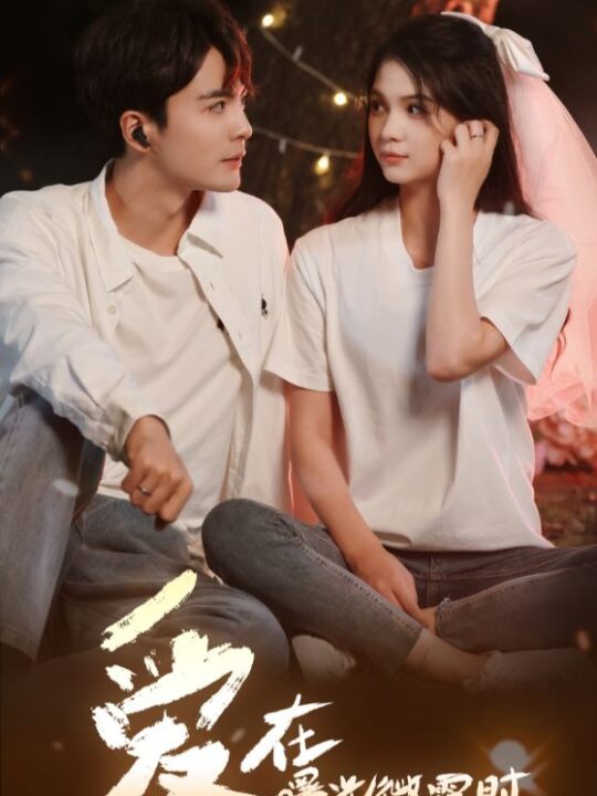 16408-爱在曙光微露时(49集)左一&王楠