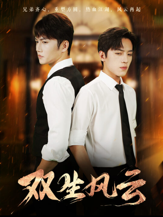 16056-双生风云(92集)金佳遇＆田杨