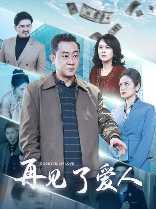 16458-再见了爱人(32集)