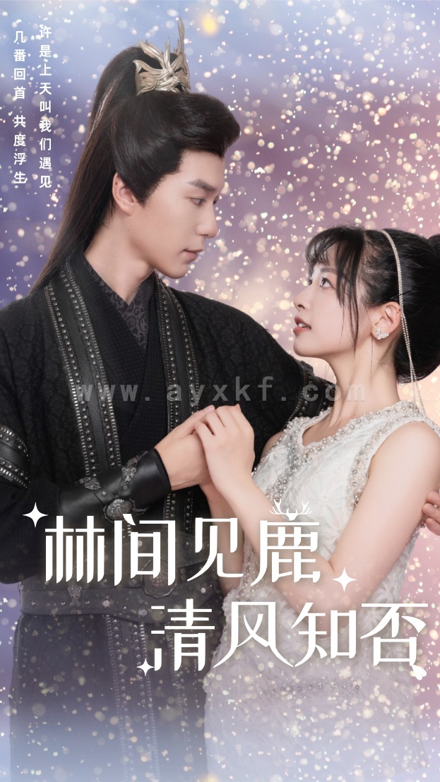 16069-林间见鹿清风知否(62集) 内容图1 一个实时收录全网最齐全的短视频短剧网剧小剧场的网站! 16069-林间见鹿清风知否(62集) 最新 图1张