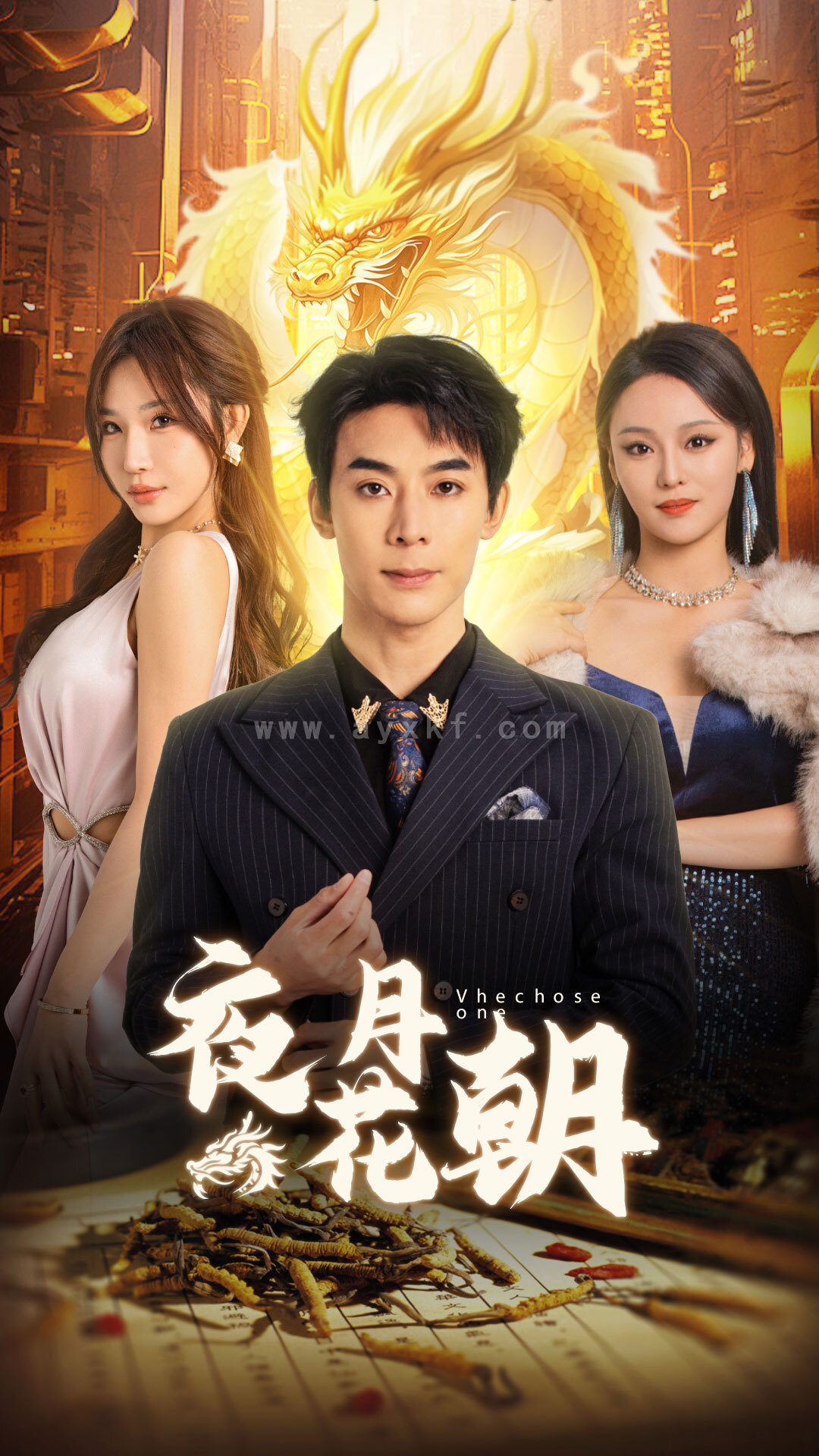 16499-夜月花朝(30集) 最新 图1张