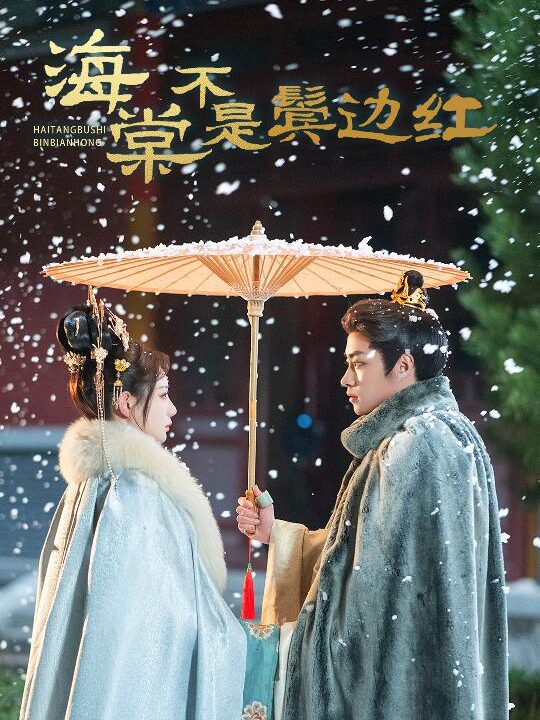 15829-海棠不是鬓边红&人生若只如初见(30集)郭榕声＆马铭婕