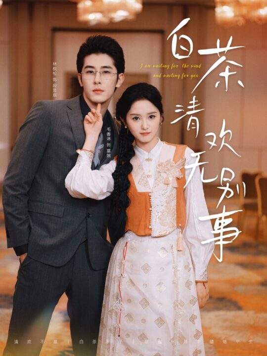 16404-白茶清欢无别事(66集)毛香淋