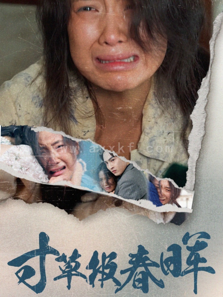 16071-寸草报春晖(65集) 内容图1 一个实时收录全网最齐全的短视频短剧网剧小剧场的网站! 16071-寸草报春晖(65集) 最新 图1张