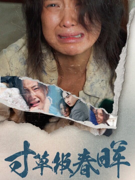 16071-寸草报春晖(65集)