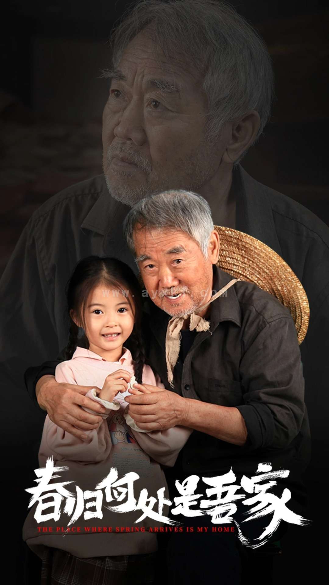 15729-春归何处是吾家(59集) 内容图1 一个实时收录全网最齐全的短视频短剧网剧小剧场的网站! 15729-春归何处是吾家(59集) 最新 图1张