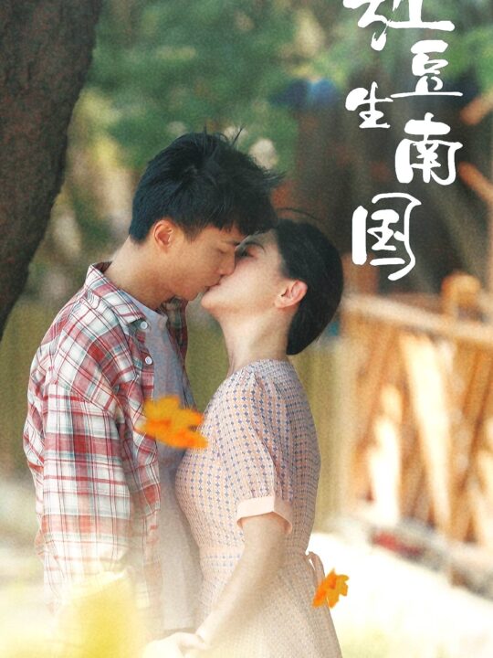 16345-红豆生南国(53集)常丹丹