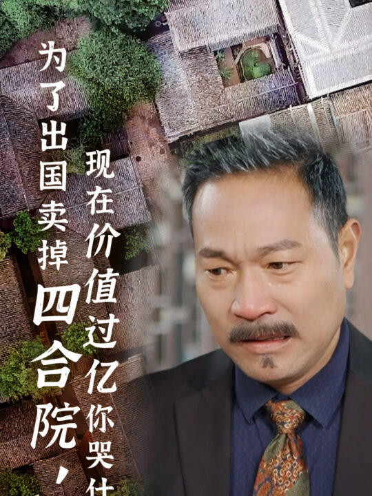 15743-为了出国卖掉四合院现在价值过亿你哭什么(30集)